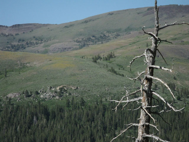 The Carson Gap from the Lost Cabin Trail